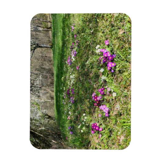 Magnet Flexible Harbinger du printemps (Vertical)