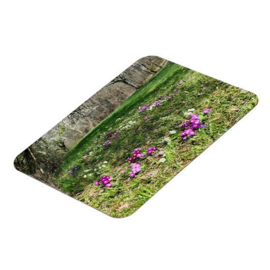 Magnet Flexible Harbinger du printemps (Côté Gauche)