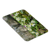 Magnet Flexible Harbinger du printemps (Côté Droit)