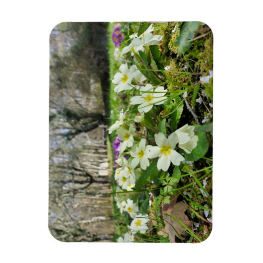 Magnet Flexible Harbinger du printemps (Vertical)