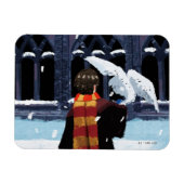Magnet Flexible HARRY POTTER™ & Hedwig dans la neige (Horizontal)