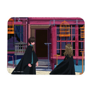 Magnet Flexible HARRY POTTER™ & Hermione à Eeylops Owl Emporium