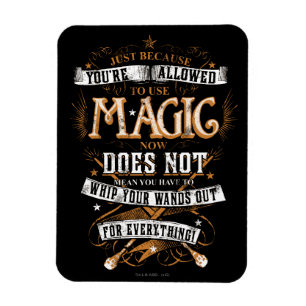 Magnet Flexible Harry Potter Spell   Just Because You're Allowed
