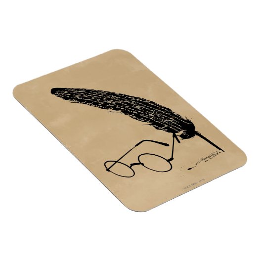 Magnet Flexible Harry Potter | Verres Et Qualité (Côté Droit)