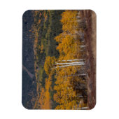 Magnet Flexible Hart Prairie (Vertical)
