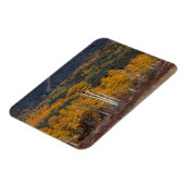 Magnet Flexible Hart Prairie (Côté Gauche)