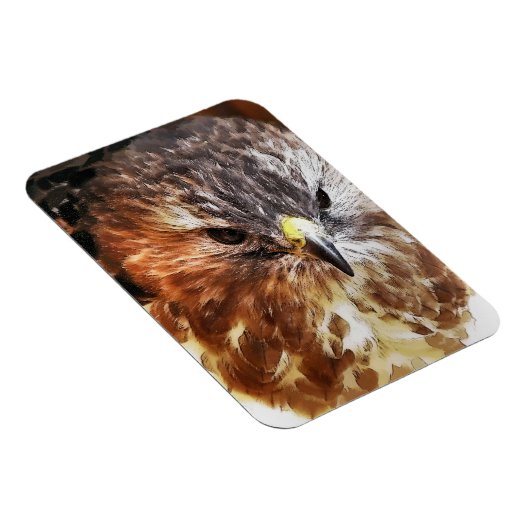 MAGNET FLEXIBLE HAWK (Côté Droit)