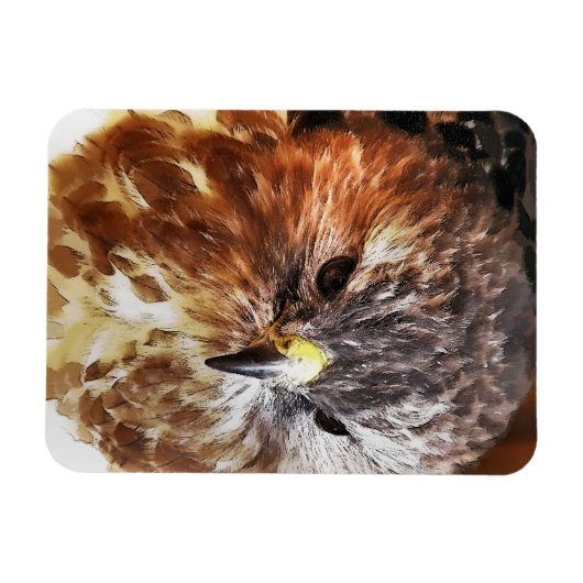 MAGNET FLEXIBLE HAWK (Horizontal)