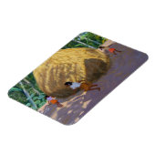 Magnet Flexible Haystack Kerala (Côté Gauche)