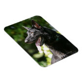 Magnet Flexible Headshot 2 du berger allemand (Côté Droit)