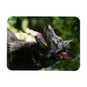 Magnet Flexible Headshot 2 du berger allemand (Horizontal)