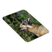 Magnet Flexible Headshot 3 du berger allemand (Côté Droit)