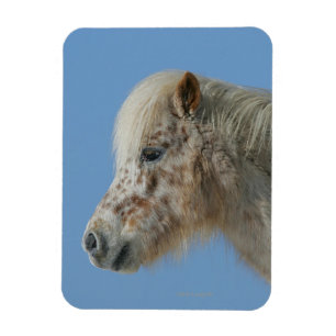 Magnet Flexible Headshot miniature de cheval