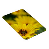 Magnet Flexible Hélénium de marguerite jaune (Côté Droit)