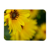 Magnet Flexible Hélénium de marguerite jaune (Horizontal)