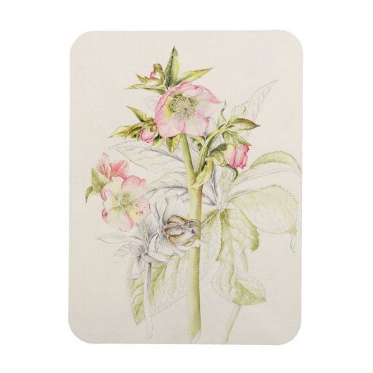 Magnet Flexible Hellebores (Vertical)
