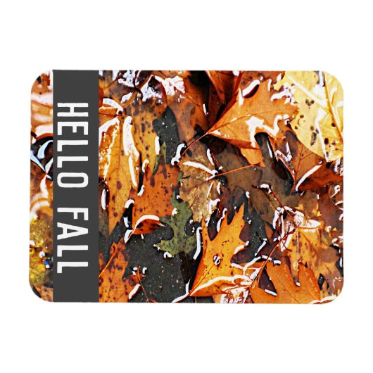 Magnet Flexible Hello Fall Rainy Feuilles (Horizontal)