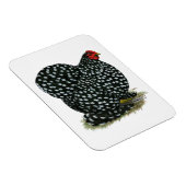 Magnet Flexible Hen Cochin Bouché (Côté Droit)