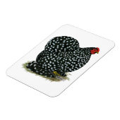 Magnet Flexible Hen Cochin Bouché (Côté Gauche)