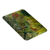 Magnet Flexible Henri Rousseau - Surpris ! (Côté Droit)