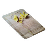 Magnet Flexible Herbarium V (Côté Droit)