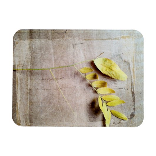 Magnet Flexible Herbarium V (Horizontal)