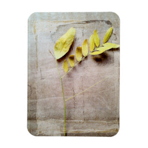 Magnet Flexible Herbarium V