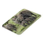 Magnet Flexible Herbe africaine d'éléphants (Côté Gauche)