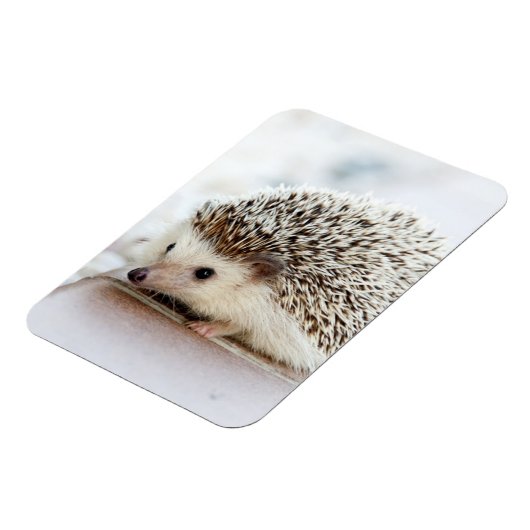 Magnet Flexible Hérisson bébé mignon (Côté Gauche)