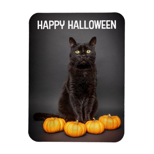 Magnet Flexible Heureux Halloween pour tous Chats Noirs avec Citro (Vertical)