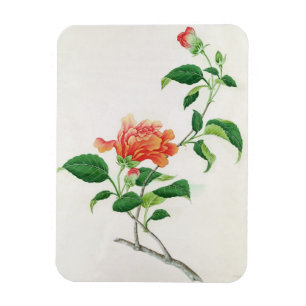 Magnet Flexible Hibiscus