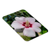Magnet Flexible Hibiscus (Côté Droit)