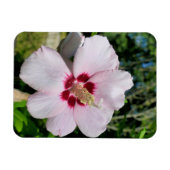 Magnet Flexible Hibiscus (Horizontal)