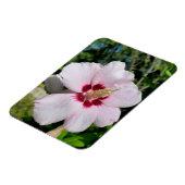 Magnet Flexible Hibiscus (Côté Gauche)