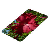 Magnet Flexible Hibiscus Flower and Blue Sky (Côté Gauche)