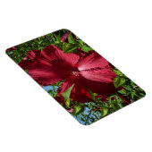 Magnet Flexible Hibiscus Flower and Blue Sky (Côté Droit)