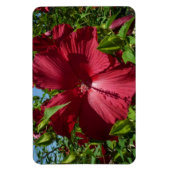 Magnet Flexible Hibiscus Flower and Blue Sky (Vertical)