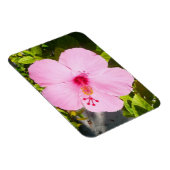 Magnet Flexible Hibiscus rose Fleur tropicale (Côté Droit)