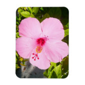 Magnet Flexible Hibiscus rose Fleur tropicale (Vertical)