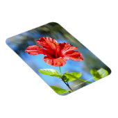 Magnet Flexible Hibiscus rouge (Côté Droit)