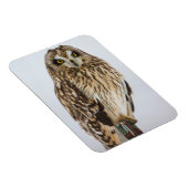 Magnet Flexible Hibou des marais sur poteau de clôture (Côté Droit)