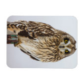Magnet Flexible Hibou des marais sur poteau de clôture (Horizontal)