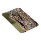 Magnet Flexible Hibou petit-duc de l'Est (Côté Droit)