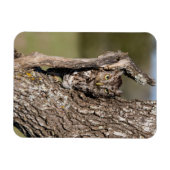 Magnet Flexible Hibou petit-duc de l'Est (Horizontal)