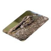 Magnet Flexible Hibou petit-duc de l'Est (Côté Gauche)