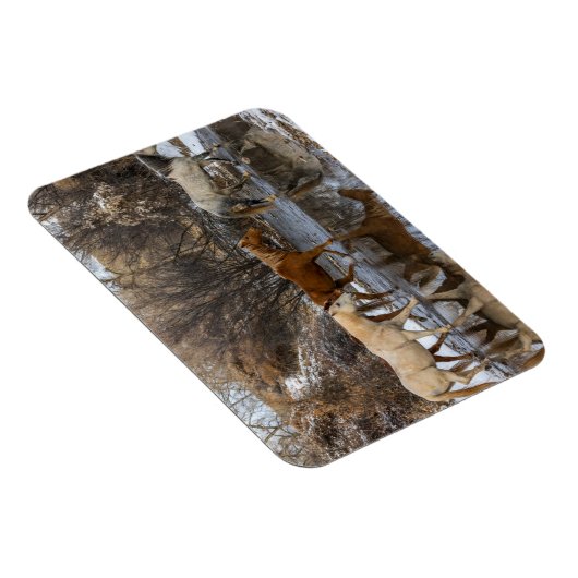 Magnet Flexible Hideout Horse Ranch (Côté Droit)