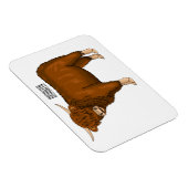 Magnet Flexible Highland cow (Côté Droit)