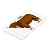 Magnet Flexible Highland cow (Côté Gauche)