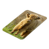 Magnet Flexible Highland Cow (Côté Gauche)