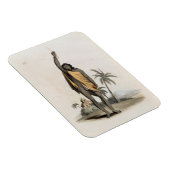Magnet Flexible Hindu Priest, pub. par Edward Orme, 1804 (litho) (Côté Droit)